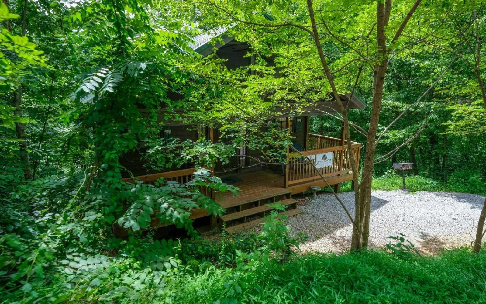 Вилла The Tree House Гатлинбург Экстерьер фото